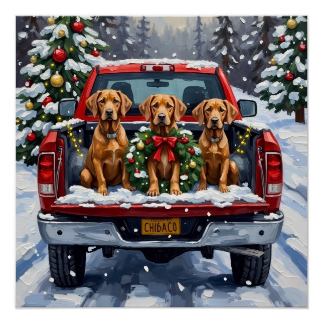 Póster Weimaraner Christmas Red Truck Holiday (Frente)