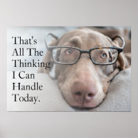 Weimaraner Nos Óculos Inteligentes