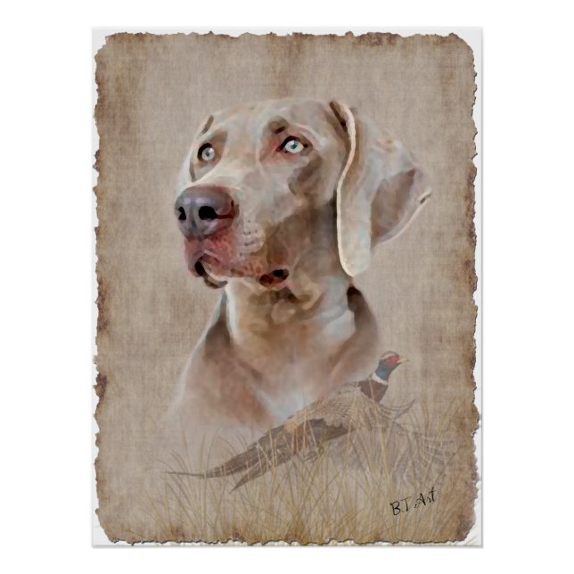 Póster Weimaraner Poster (Frente)