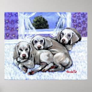 Poster Weimaraner Puppies Cachorro Retrato