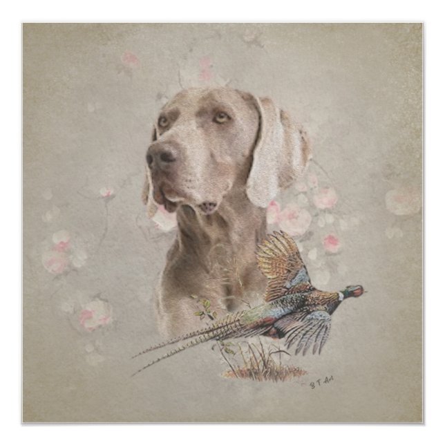 Póster Weimaraner Tapeçaria (Frente)