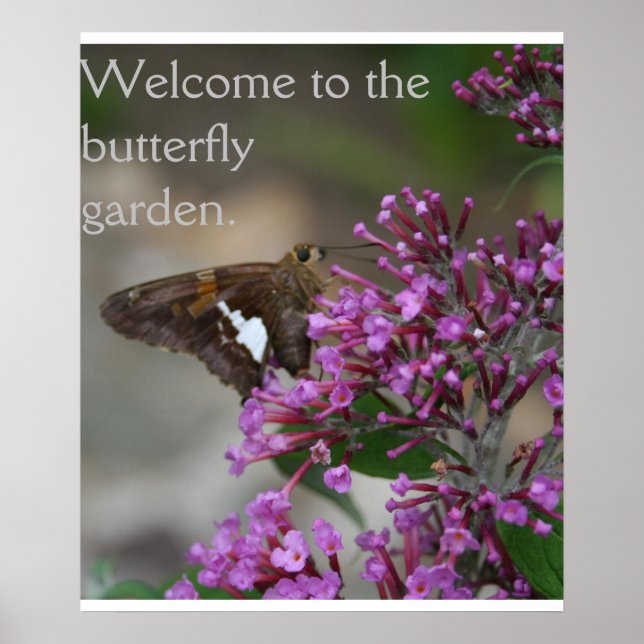 Poster Welcome to the Butterfly Garden Poster--Skipper (Frente)