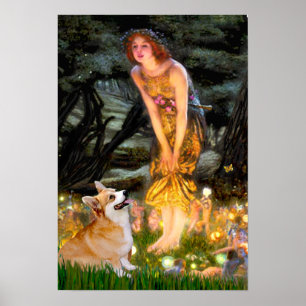 Póster Welsh Corgi Pembroke - Mideve
