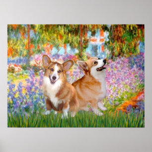 Póster Welsh Corgis (dois Pembroke) - Jardim de Giverney