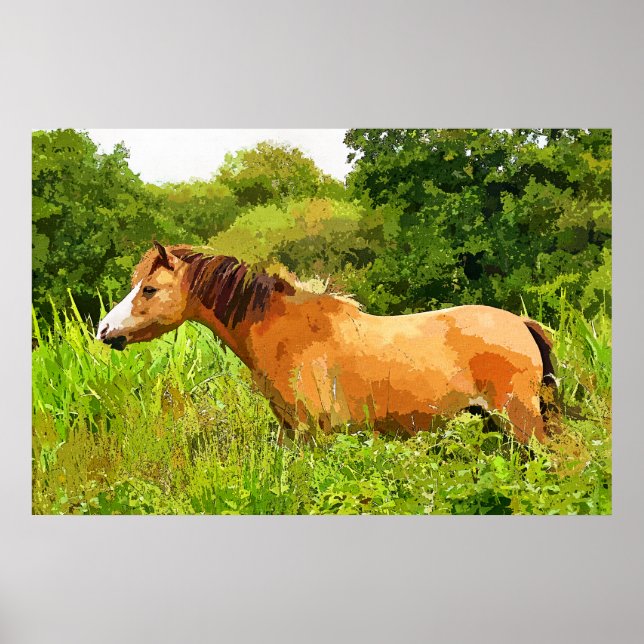 POSTER WELSH PONY (Frente)