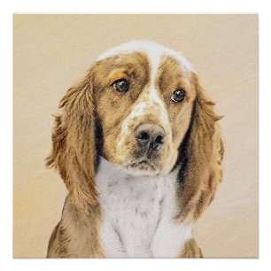 Póster Welsh Springer Spaniel Painting - Arte Original De