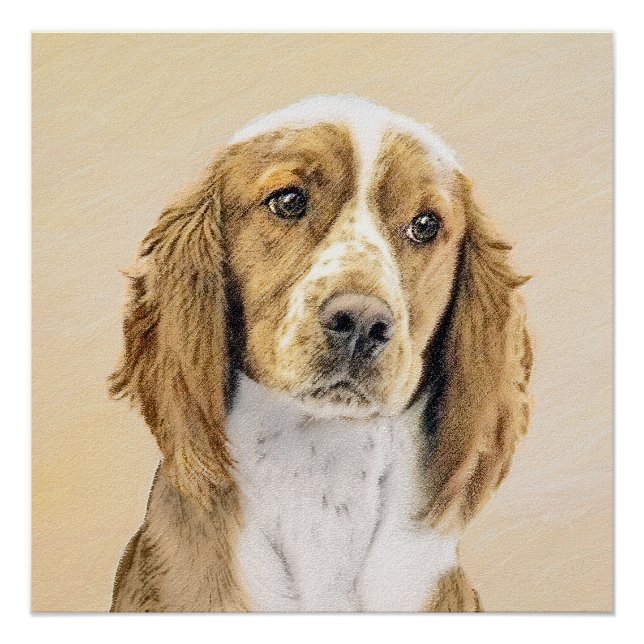 Póster Welsh Springer Spaniel Painting - Arte Original De (Frente)
