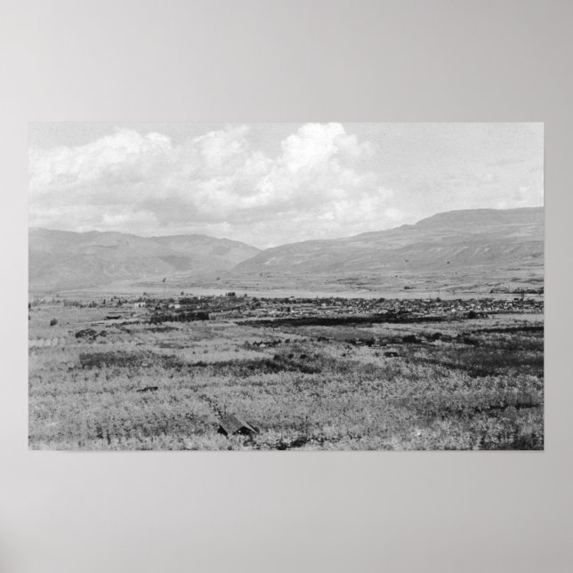 Póster Wenatchee, WA Town View e Orchard Fotografia (Frente)