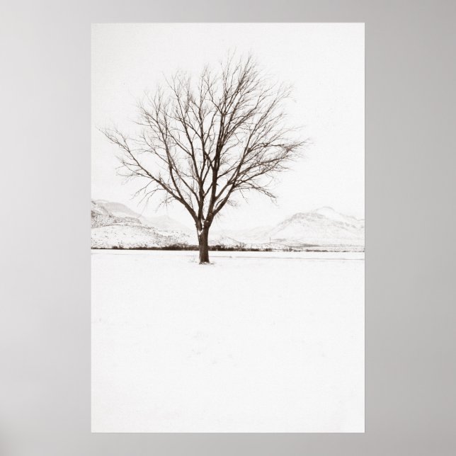 Poster West Texas BLizzard (Frente)