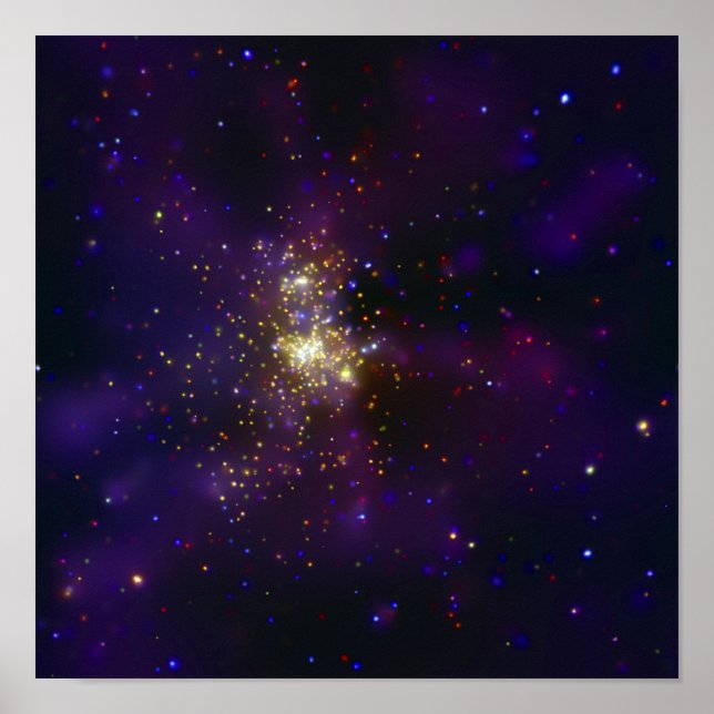 Póster Westerlund 2, um aglomerado de estrelas jovens (Frente)