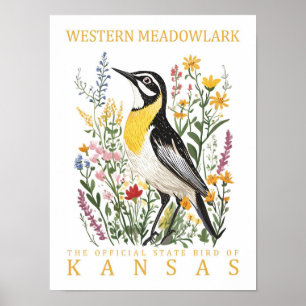 Poster Western Meadowlark Bird do Kansas USA Viagem