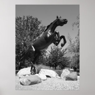 Poster Western Michigan University, Kalamazoo, MI