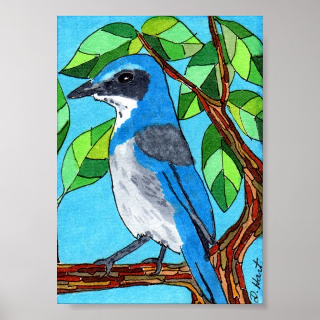 Poster Western Scrub Jay Mini Folk Art (Frente)