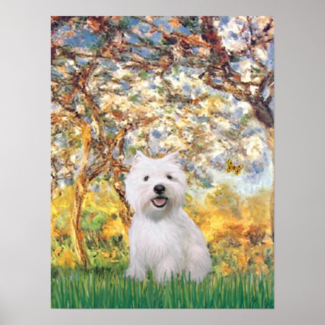 Póster Westie 2 - Primavera (Frente)