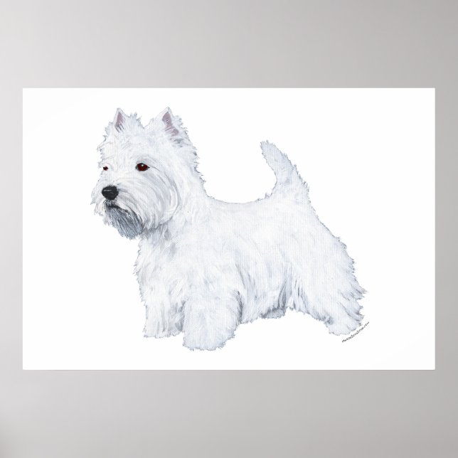 Póster Westie em pé (Frente)