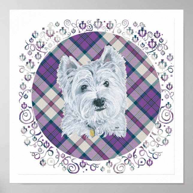 Poster Westie em Tartan (Frente)