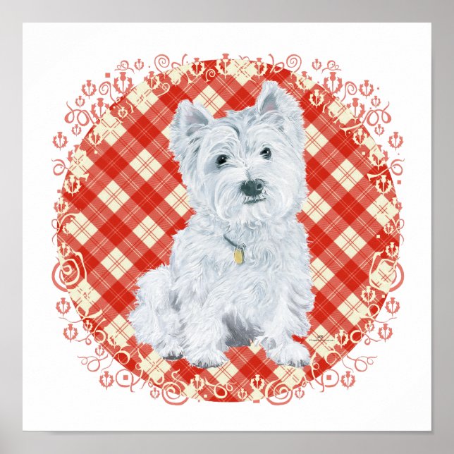 Poster Westie no Tartan (Frente)