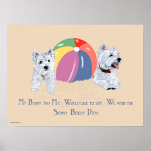 Póster Westies com um Cartaz de Bola de Praia