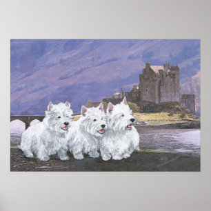 Póster Westies na Escócia