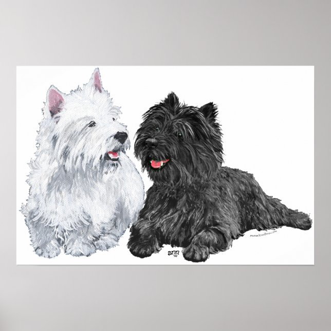 Poster Westin com um Black Cairn Terrier (Frente)