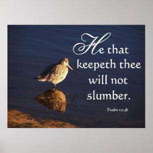 Poster Wetlands Bird God Will Keep You Print