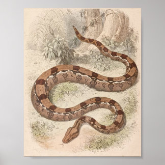 Póster WH Freeman - Portfolio da Boa Condicionadora