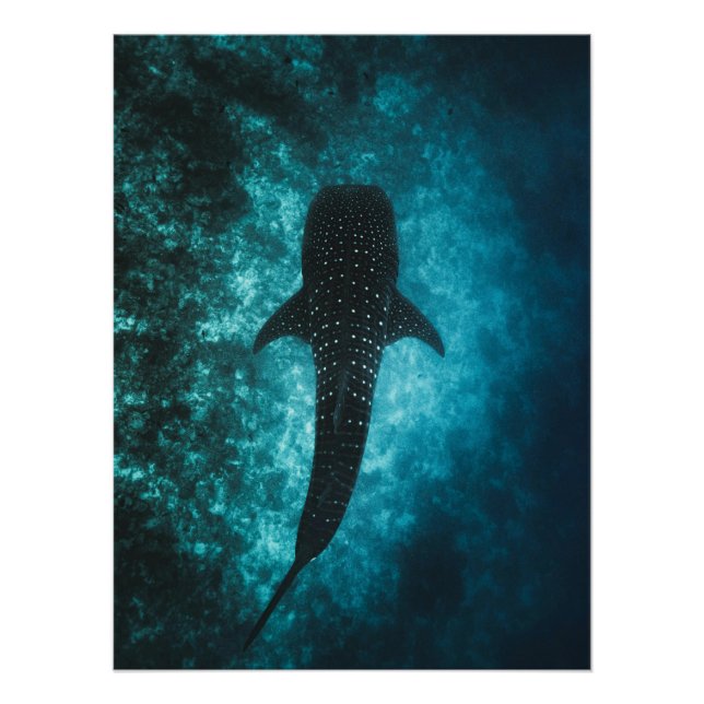 Póster Whale Shark Depths – Ocean Wall Art (Frente)