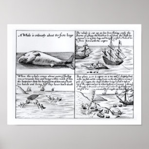 Poster Whaling at Spitzbergen in 1611 (engraving) (b/w ph