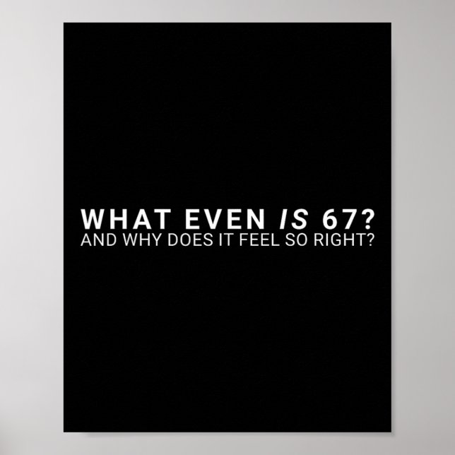Poster What Even Is 67 Meme  (Frente)