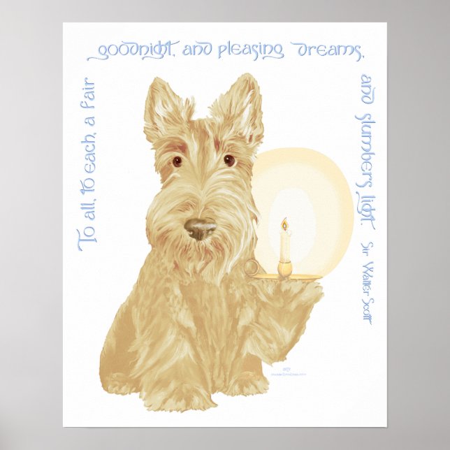Poster Wheaten Scottie Boanoite (Frente)