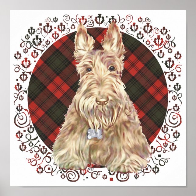 Póster Wheaten Scottie Tartan (Frente)