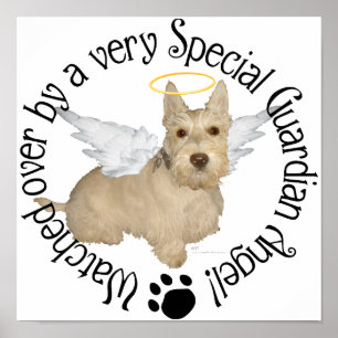 Póster Wheaten Scottish Terrier Angels