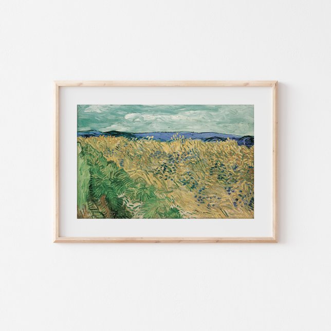 Poster Wheatfield com Cornflower | Vincent van Gogh (Criador carregado)