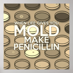Poster WHEN LIFE GIVES YOU MOLD MAKE PENICILLIN Vintage