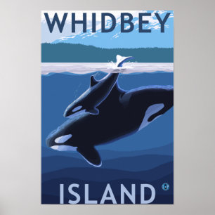 Póster Whidbey Island, WashingtonOrca and Calf