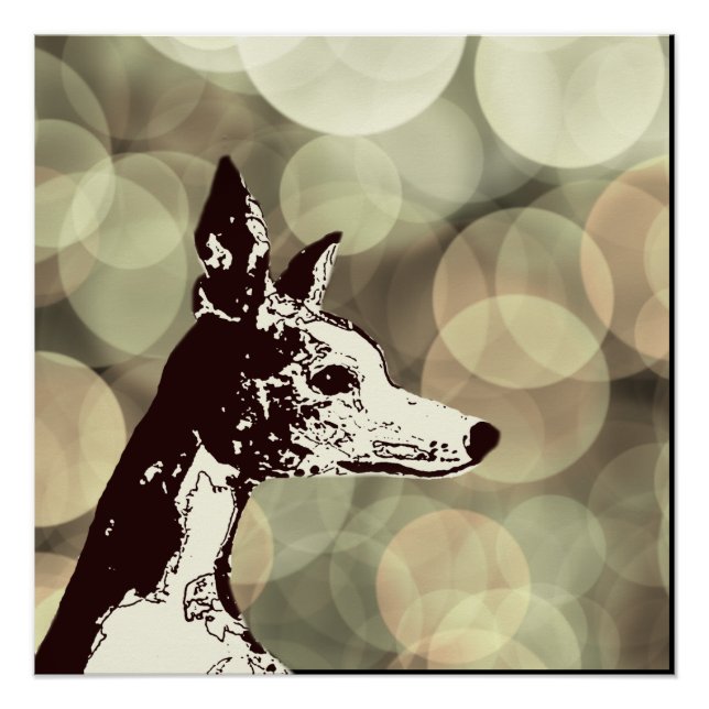 Póster Whippet (Frente)