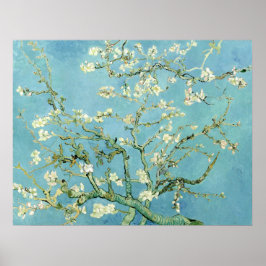 Poster White almond blossom by Vincent Van Gogh