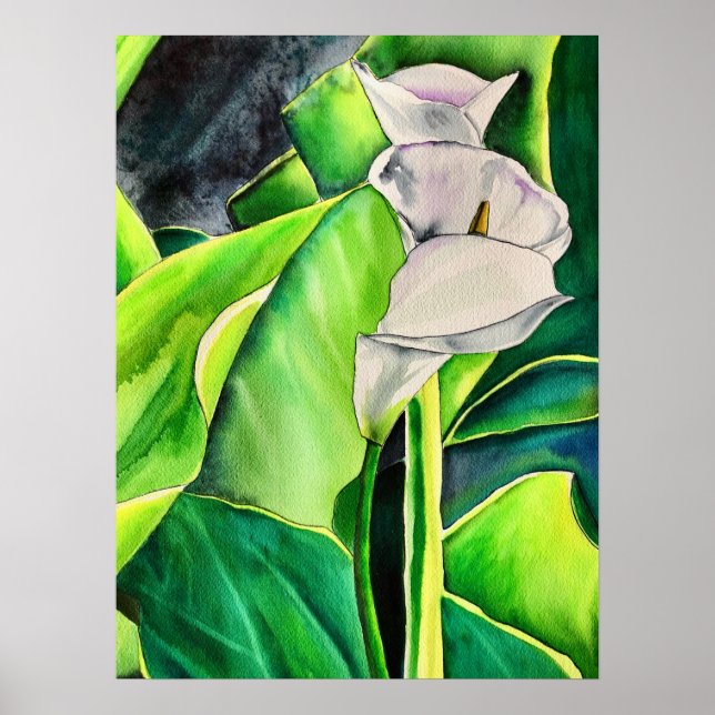 Poster White Arum Lily Watercolor, floral tropical (Frente)