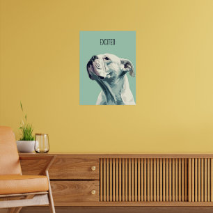 Poster White Boxer