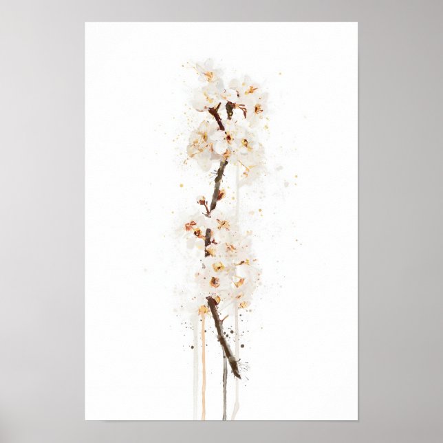 Poster White Cherry Blossom (Frente)