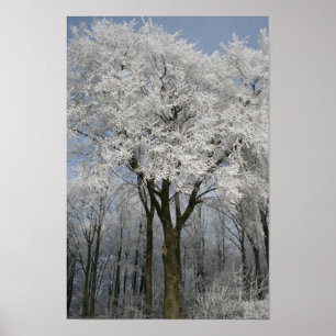 Póster White Christmas