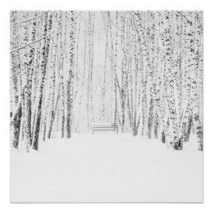 Póster White Christmas Tale