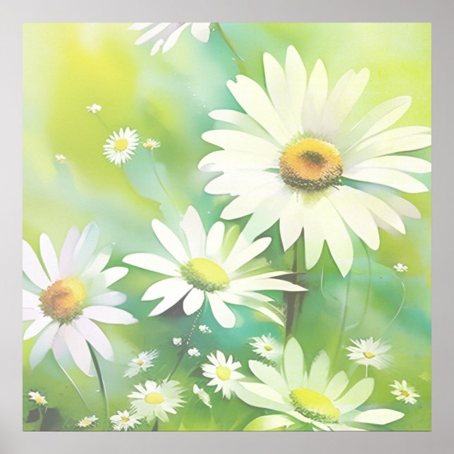 Poster White Daisies (Frente)