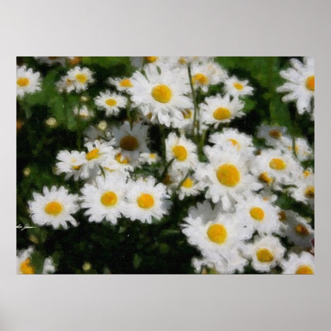 Póster White Daisies Watercolor (Frente)