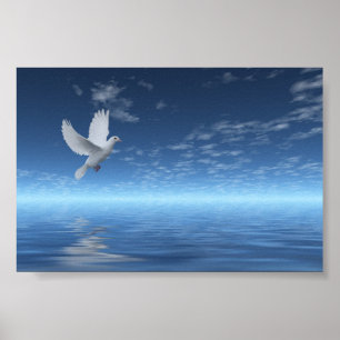 Póster White Dove
