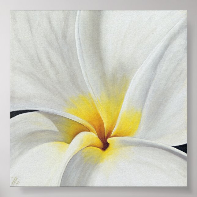 Póster White Frangipani (Frente)