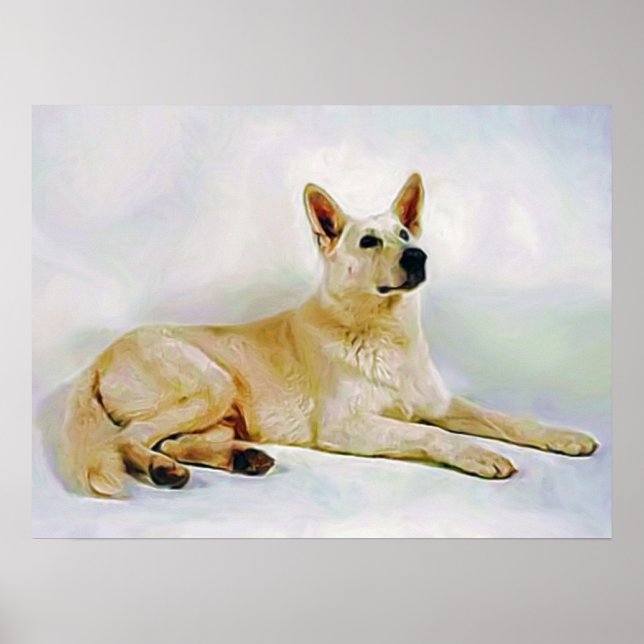 Poster White-German-Shepherd (Frente)