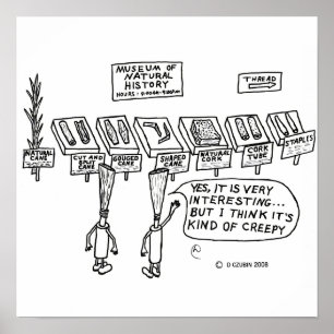 Póster White História Natural Reed