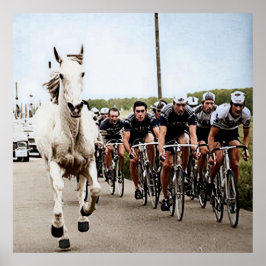 Poster White Horse 1975 Tour De France Color Redux