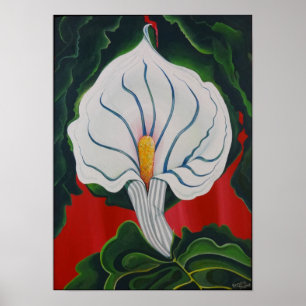 Póster White Lily